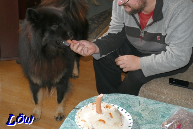 11.12.2025 - Howard ist von der Torte begeistert